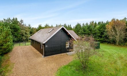 'Yvonna' - 350m to the fjord 2