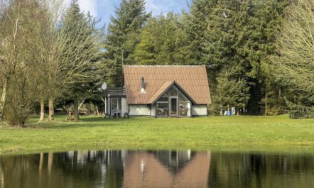 'Alard' - 300m to the fjord