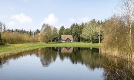 'Alard' - 300m to the fjord 4