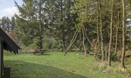 'Alard' - 300m to the fjord 3