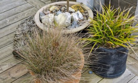 'Aksinja' - 700m from the sea 7