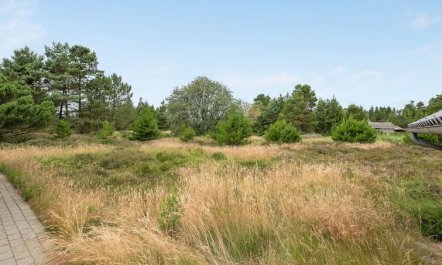 'Torbjörn' - 1.1km from the sea 5