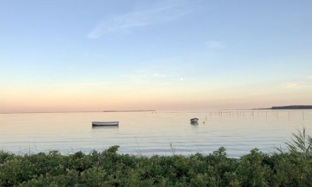 'Valia' - 20m from the sea 7