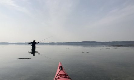 'Valia' - 20m from the sea 5