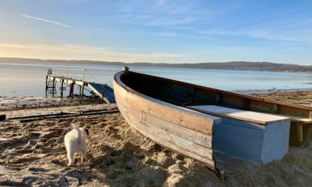 'Valia' - 20m from the sea 2