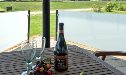 'Helena' - 250m from the sea 4