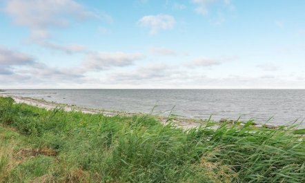 'Birge' - 200m from the sea 3