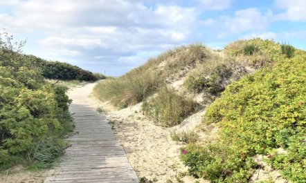 'Jorinde' - 1km from the sea 4