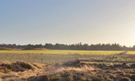 'Clare' - 4km from the sea 5