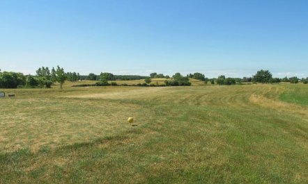 'Bara' - 600m from the sea 3