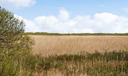 'Hermandine' - 700m from the sea 3