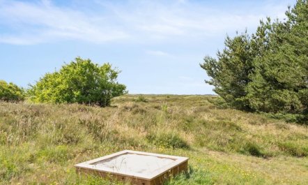 'Alessia' - 2km from the sea 4