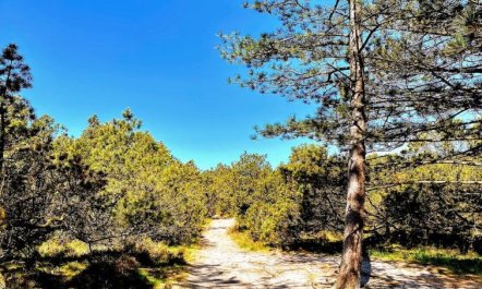 'Neia' - 640m from the sea 6