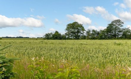 'Thrine' - 24km from the sea 3