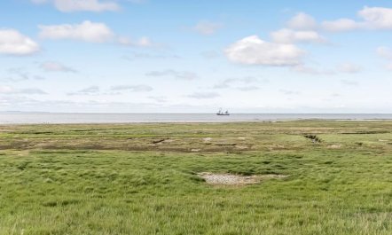 'Reinhold' - 1.9km from the sea 6