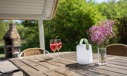 'Ejvi' - 4km from the sea 5