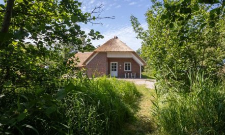 'Ejvi' - 4km from the sea 1