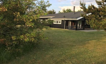 'Ulvi' - 300m to the fjord