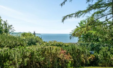 'Bisera' - 150m from the sea 5