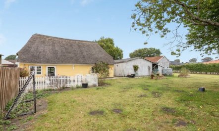 'Miko' - 19km from the sea 4