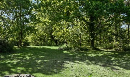 'Norwin' - 250m from the sea 5