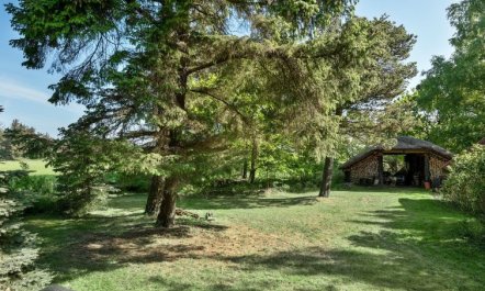 'Norwin' - 250m from the sea 4