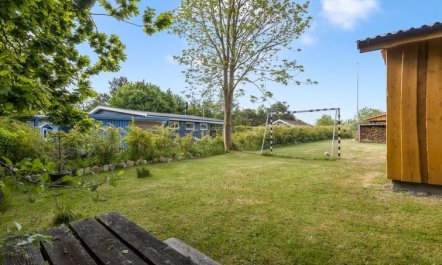 'Zekine' - 700m from the sea 4