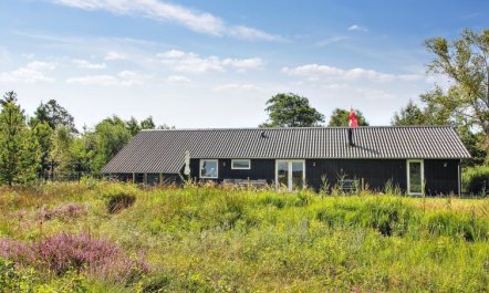 'Golubinka' - 2.5km from the sea 4