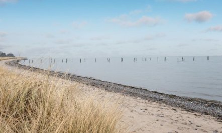 'Hattie' - 100m from the sea 3