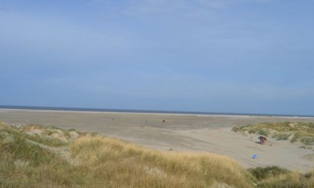 'Hariet' - 300m from the sea 7