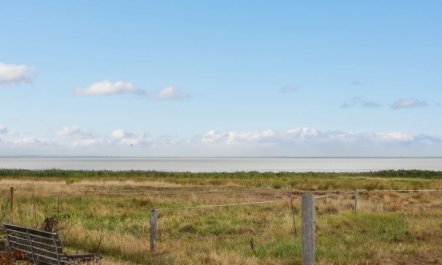 'Baltser' - 5km from the sea 2