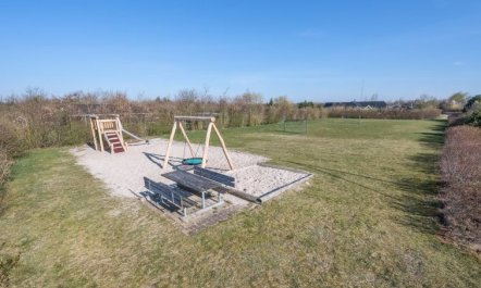 'Ellis' - 700m to the fjord 4