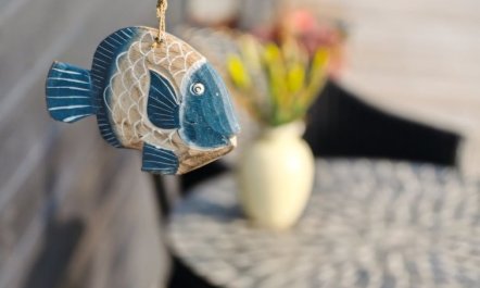 'Viveke' - 10m from the sea 3