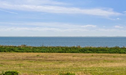 'Theis' - 100m from the sea 4