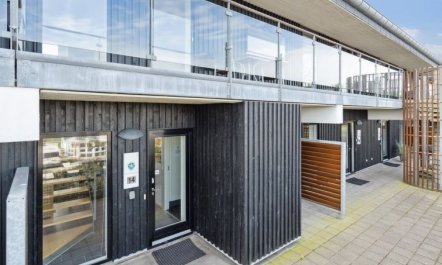 'Theis' - 100m from the sea 3