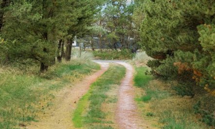 'Ginna' - 1.3km from the sea 1