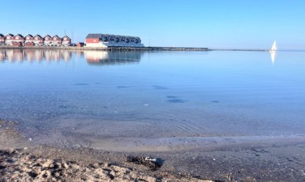 'Asmund' - 150m from the sea 5