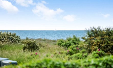 'Emin' - 100m from the sea 5