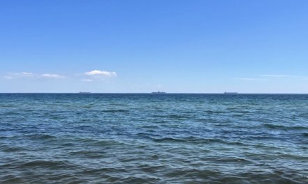 'Mato' - 100m from the sea 1