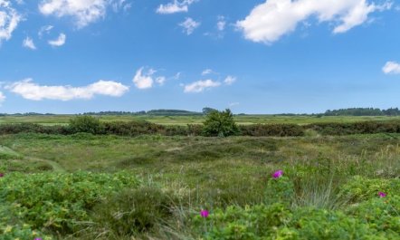 'Reija' - 2.3km from the sea 1