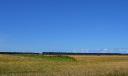 'Anna' - 1km from the sea 2