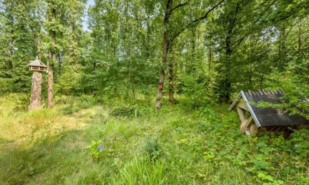 'Lenya' - 33km from the sea 3