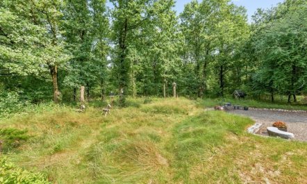 'Lenya' - 33km from the sea 2