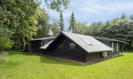 'Hedwig' - 30km from the sea 1