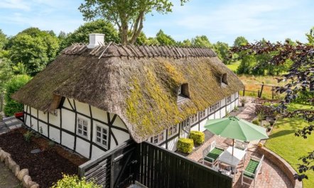 'Maileen' - 2.1km to the fjord 7