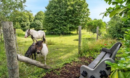 'Maileen' - 2.1km to the fjord 3