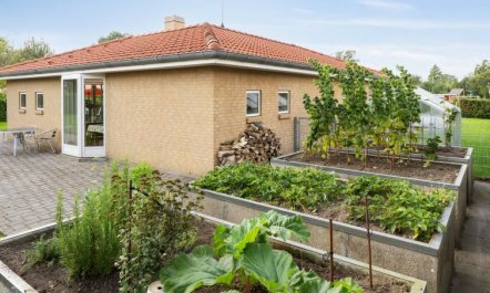 'Kalli' - 100m from the sea 5