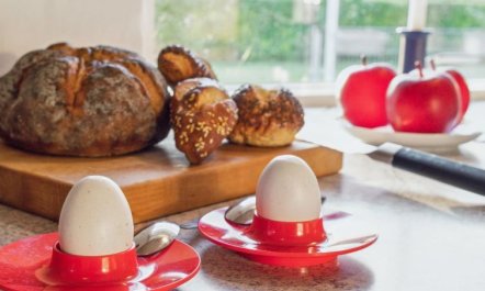 'Kalli' - 100m from the sea 2