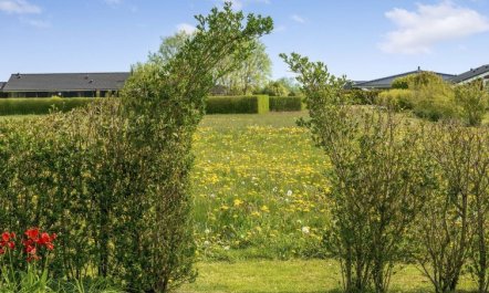 'Reimer' - 700m from the sea 2