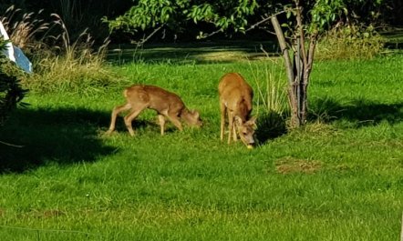 'Asmine' - 670m from the sea 4